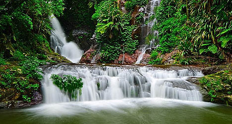 Lamington-National-Park1