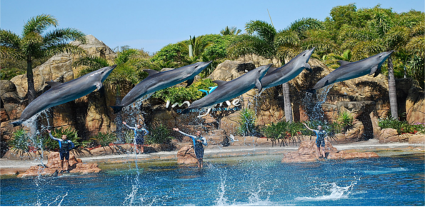 Sea World